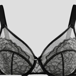 HSIA Enchante Floral Lace Underwire Unpadded Plus Size Full Coverage Bra 46DDD